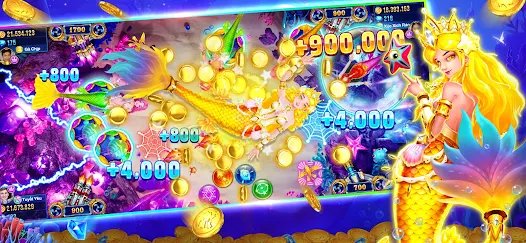 2344 bet app